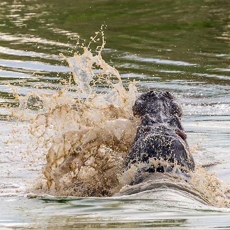 Tangala Safari Camp Villa Khu bảo tồn Khu bảo tồn Thornybush Game Reserve Ngoại thất bức ảnh