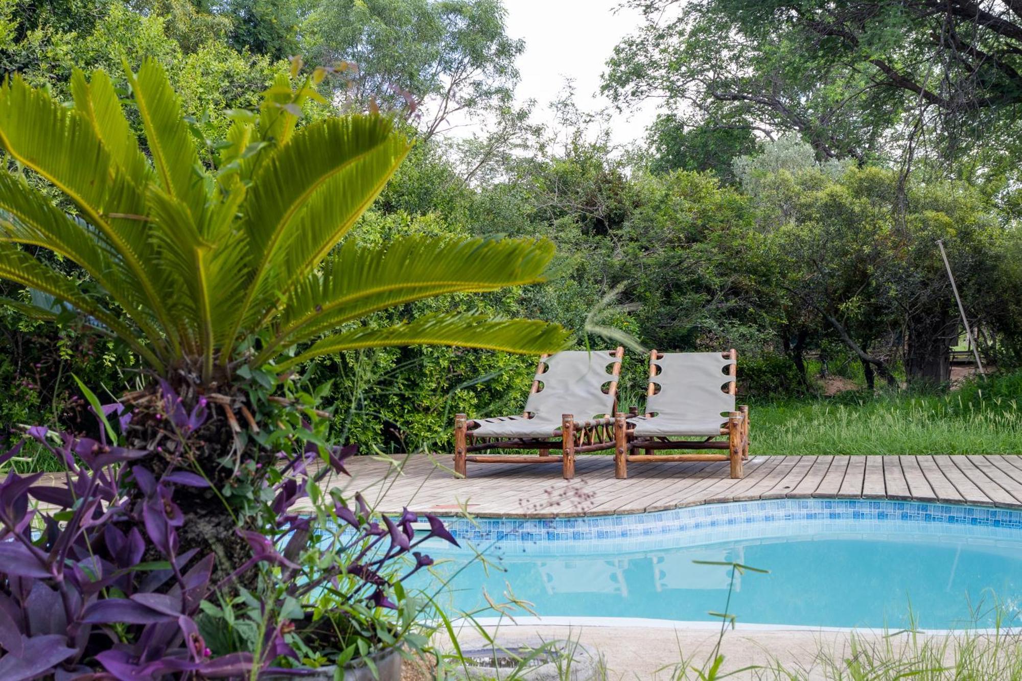 Tangala Safari Camp Villa Khu bảo tồn Khu bảo tồn Thornybush Game Reserve Ngoại thất bức ảnh