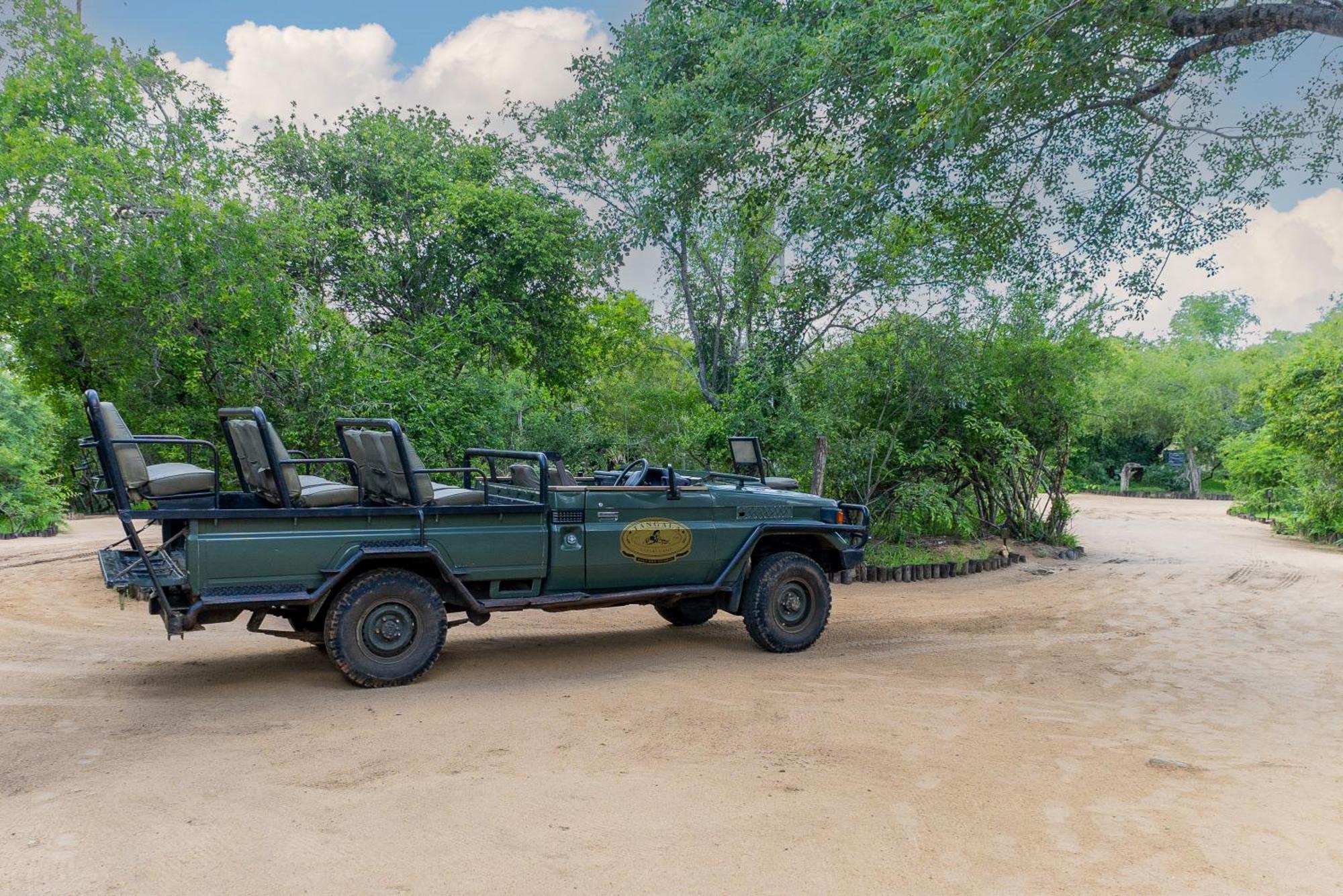 Tangala Safari Camp Villa Khu bảo tồn Khu bảo tồn Thornybush Game Reserve Ngoại thất bức ảnh