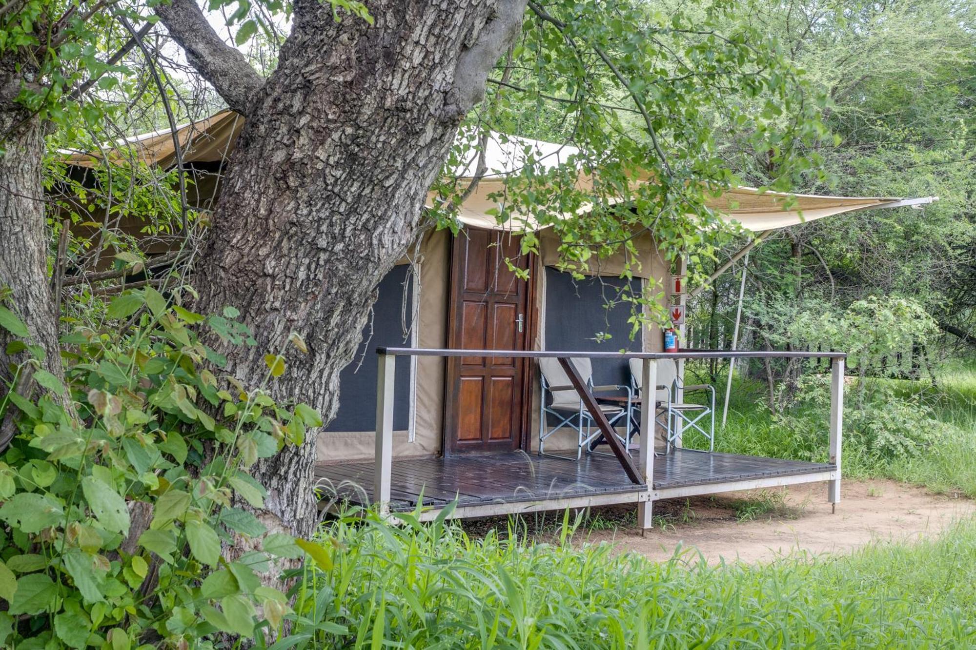 Tangala Safari Camp Villa Khu bảo tồn Khu bảo tồn Thornybush Game Reserve Ngoại thất bức ảnh