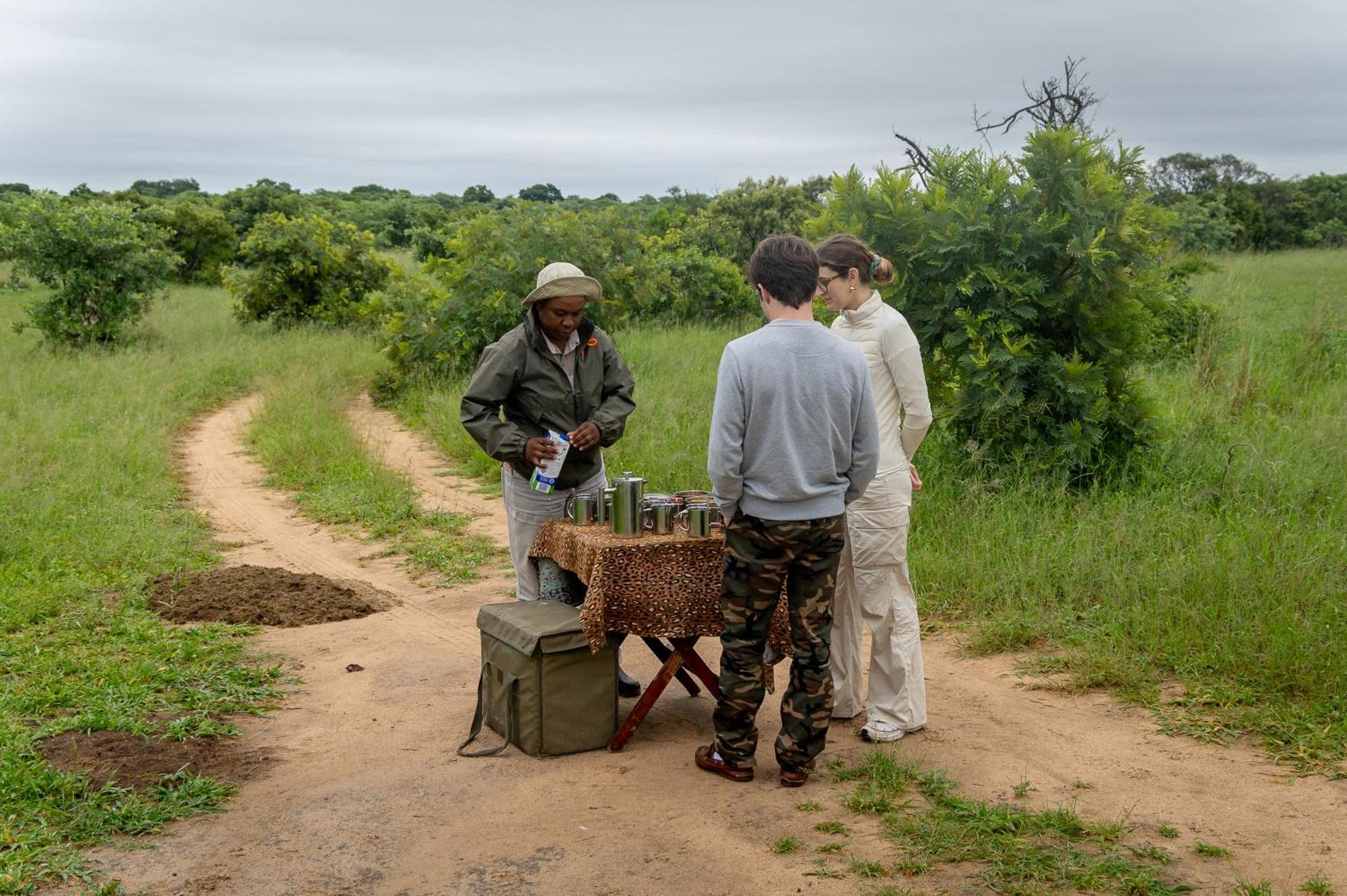 Tangala Safari Camp Villa Khu bảo tồn Khu bảo tồn Thornybush Game Reserve Ngoại thất bức ảnh