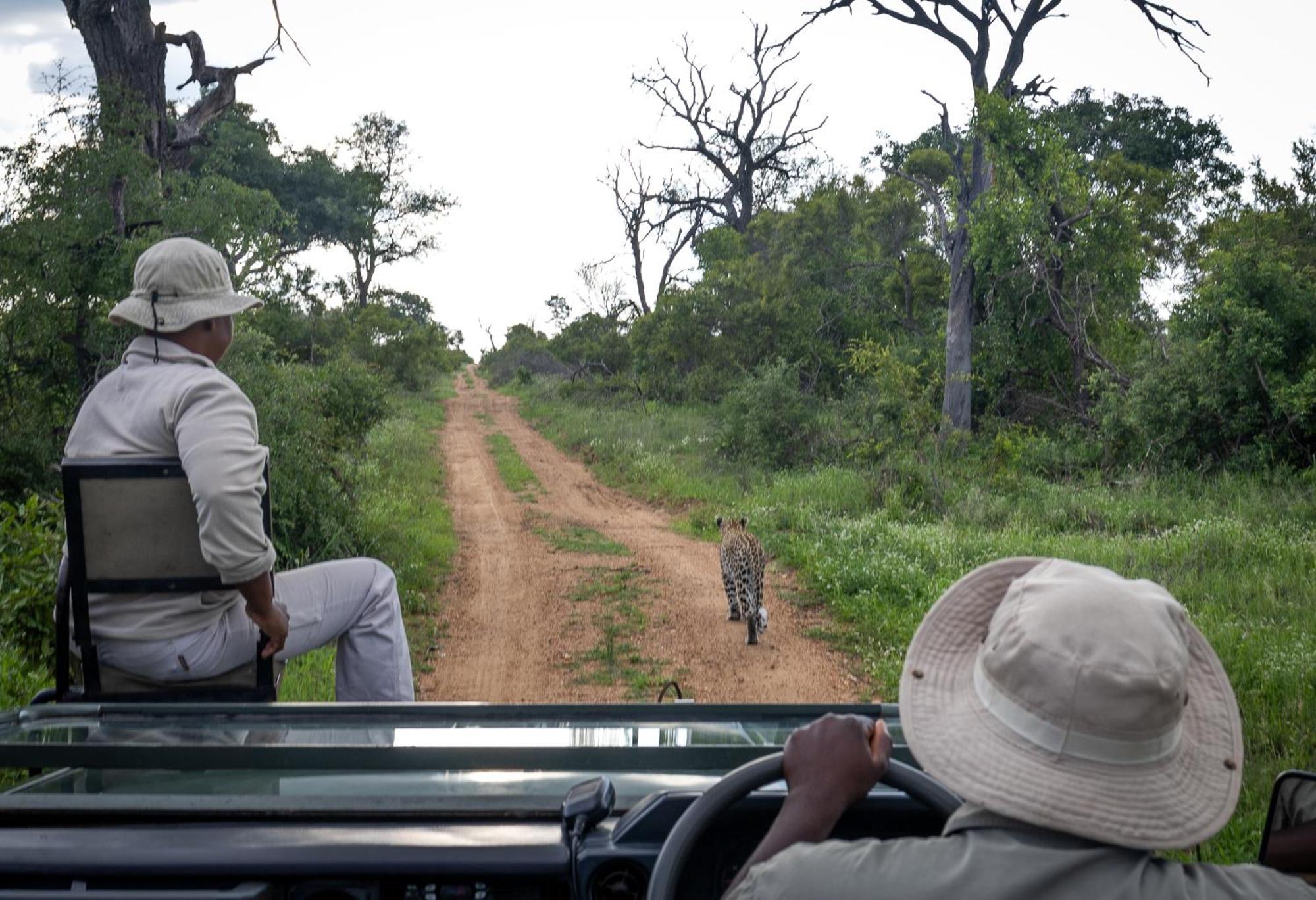 Tangala Safari Camp Villa Khu bảo tồn Khu bảo tồn Thornybush Game Reserve Ngoại thất bức ảnh