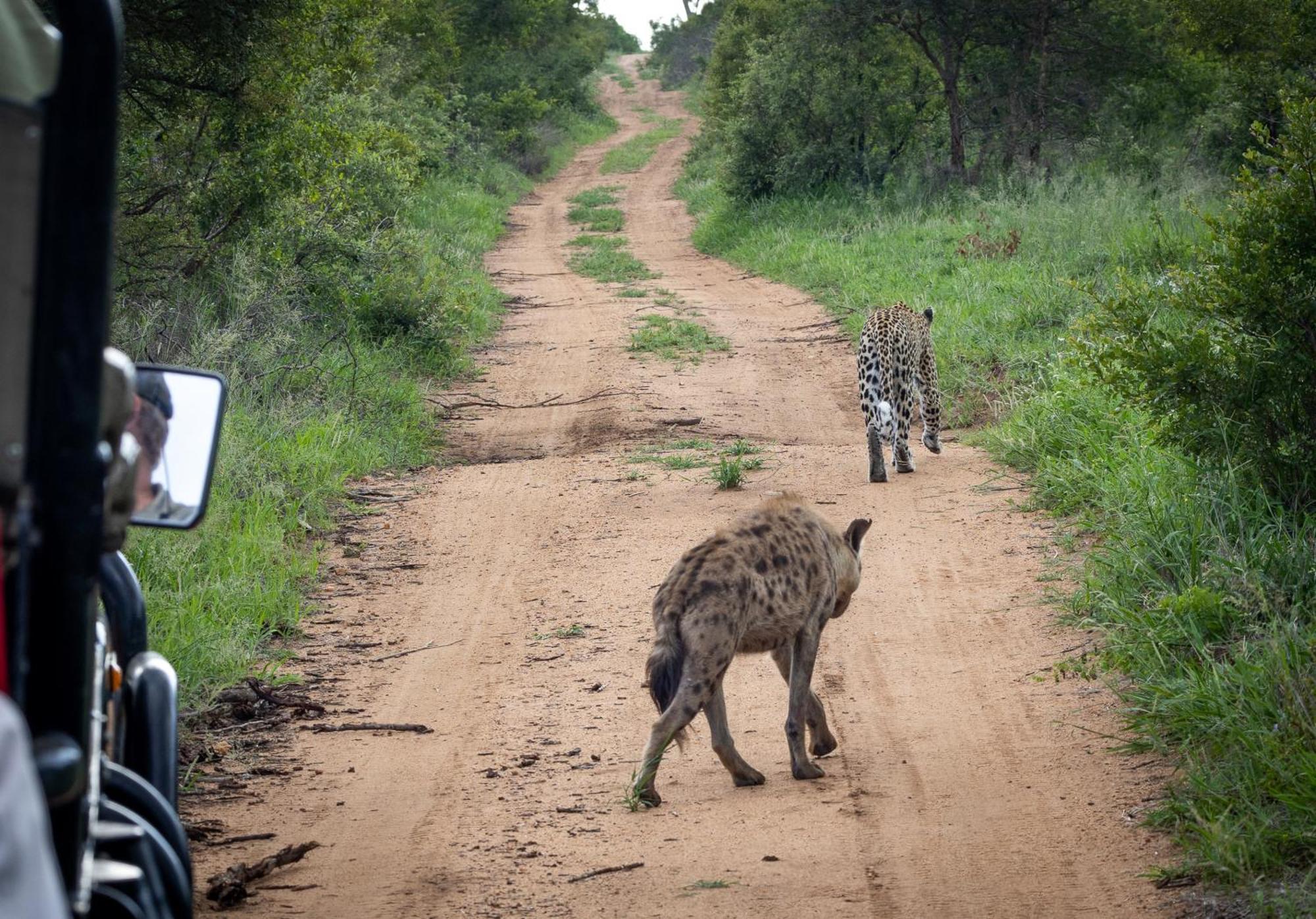 Tangala Safari Camp Villa Khu bảo tồn Khu bảo tồn Thornybush Game Reserve Ngoại thất bức ảnh