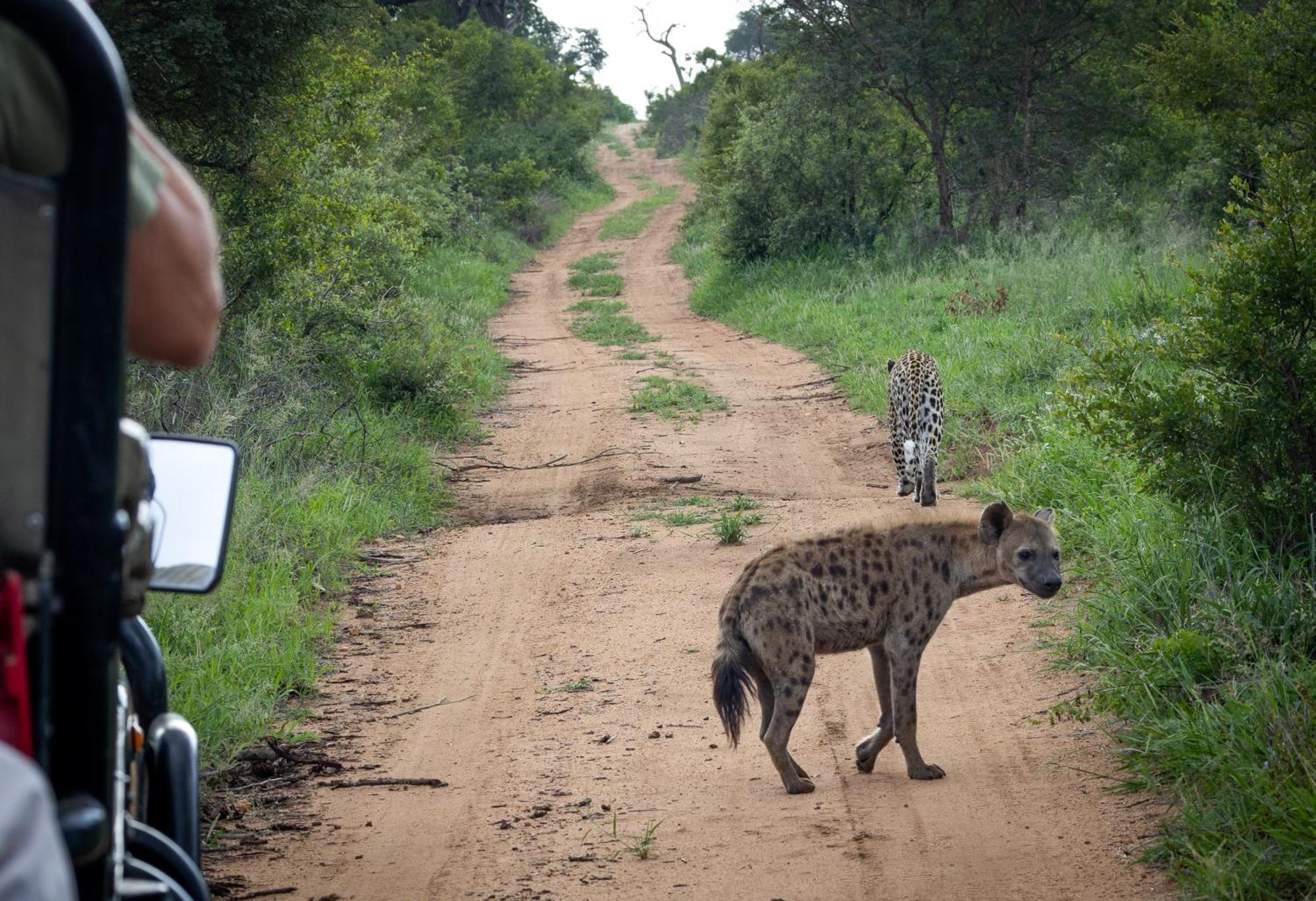 Tangala Safari Camp Villa Khu bảo tồn Khu bảo tồn Thornybush Game Reserve Ngoại thất bức ảnh